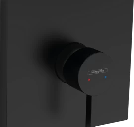 Potinkinis vienos svirties dušo maišytuvas HANSGROHE Finoris vienai funkcijai, matinis juodas, 76615670