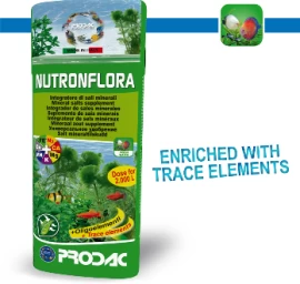 PRODAC NUTRONFLORA trąšos augalams 100ml-&amp;gt;5000l, FLO100.01
