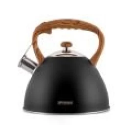 Promis TMC12 kettle 3 L Black,Stainless steel