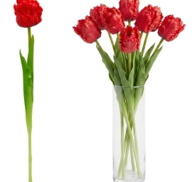 Raudona Tulpė 38 Cm Kaip Gyva Pavasario Dekoracija