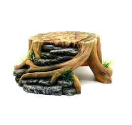 REP NOVA terariumo dekoracija kelmas 23x22x9cm, RN983