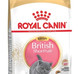 Royal Canin British Shorthair kačiukų sausas kačių maistas, 2 kg, paukštiena, ryžiai