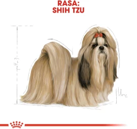 ROYAL CANIN Shih Tzu Adult - dry dog food - 1,5 kg