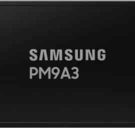 Samsung Ssd Mzql23t8hcls-00w07 (3,84 Tb )