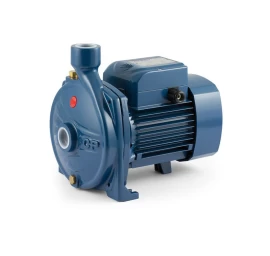 Sausai statomas horizontalus siurblys Pedrollo CP 160C 380V