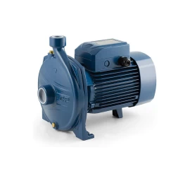 Sausai statomas horizontalus siurblys Pedrollo CP 220C 380V