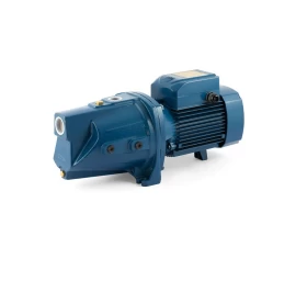 Sausai statomas horizontalus siurblys Pedrollo JSW3CM-N  380V