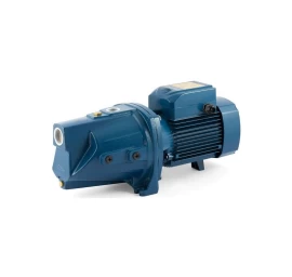 Sausai statomas horizontalus siurblys Pedrollo JSWm3AM-N 230V