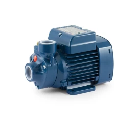 Sausai statomas horizontalus siurblys Pedrollo PKm300 220V