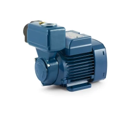 Sausai statomas horizontalus siurblys Pedrollo PKSm70 220V