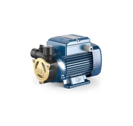 Sausai statomas horizontalus siurblys Pedrollo PQAm 50 230V