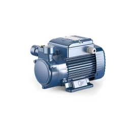 Sausai statomas horizontalus siurblys Pedrollo  PQm 81-PRO 230V