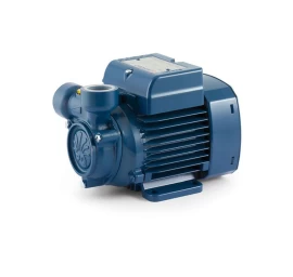 Sausai statomas horizontalus siurblys Pedrollo PQm300 220V