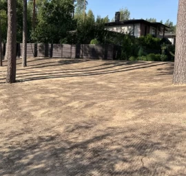 Landskaping - maintenance of yards and other territories