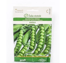 Sėklos žirniai raukšlėtieji Avola VL