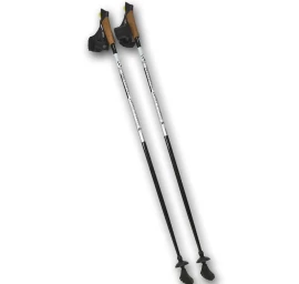 šiaurietiško ėjimo Lazdos Best Sporting 1-secfencje Carbon Long. 125cm