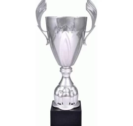 Sidabrinis Metalinis Puodelis 4127a