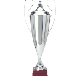 Sidabrinis Metalinis Puodelis T-d 1042-n/b