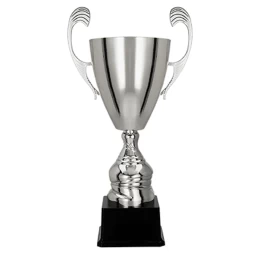 Sidabrinis Metalinis Puodelis T-m