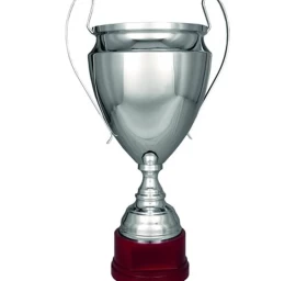 Sidabrinis Metalinis Puodelis T-s