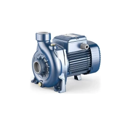 Siurblys su atviro tipo darbo ratu Pedrollo NGAm 1A 230V