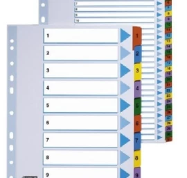 Skiriamieji lapai Esselte Mylar, A4, 1-12 skaičiai, spalvoti