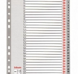 Skiriamieji lapai Esselte PP, A4, 1-31 skaičiai, plastikiniai