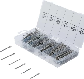 Smeigtukų asortimentas | Nerūdijantis plienas | Ø 1,6 - 4,0 mm | 555 vnt. (8048-1)