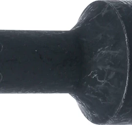 Smūginis antgalis | ilgis 100 mm | 20 mm (3/4) | T-Star (Torx) T100 (6185-T100)