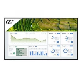 Sony Monitorius Fw-65bz30l (65&amp;quot; /ips /60hz /3840 X 2160 / Juodas )