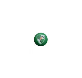SPALDING SPALDEEN BC ŽALGIRIS (SKERSMUO 6 CM)