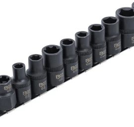 Specialios automobilinės galvutės | 3- / 5- / 6- / 10 kampų | 10 vnt. (2560)