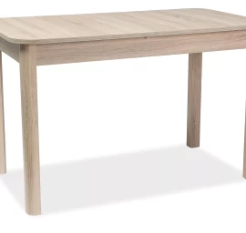 Stalas SG24954