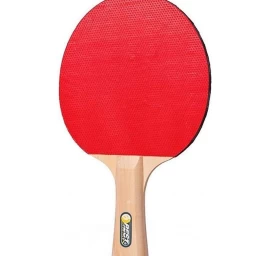 Stalo Teniso Raketė Besimokantis Geriausias Sportas