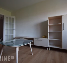 Nestandartinių baldų gamyba, baldų projektavimas