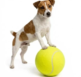 Teniso Kamuoliukas Xl Dia 22cm