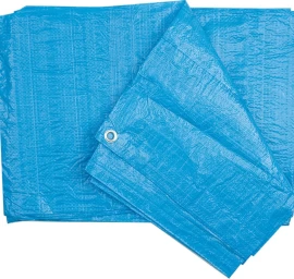 Tentas | 5 X 8 m 90g/m2 (85060)