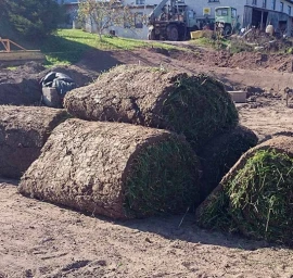 Ruloninės vejos įrengimas