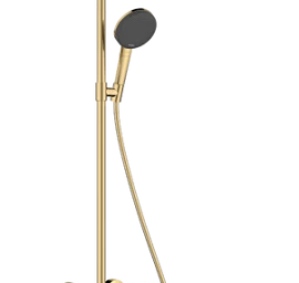 Termostatinė dušo sistema Hansgrohe Raindance Alive S Puro 300 1jet EcoSmart+ su Ecostat Element, šlifuoto aukso, 24594990
