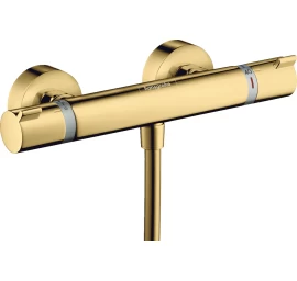 Termostatinis dušo maišytuvas Hansgrohe Ecostat Comfort 13116990
