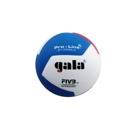 Tinklinio kamuolys GALA BV 5595 S PRO