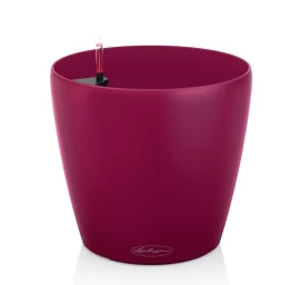 Vazonas Lechuza Classico Color 28, purple garnet, 13205