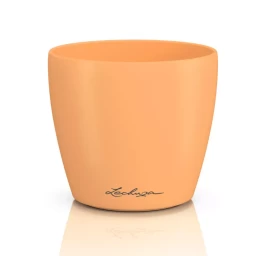 Vazonas LECHUZA DECO 10, 16665, papaya