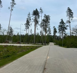 Landskaping - maintenance of yards and other territories