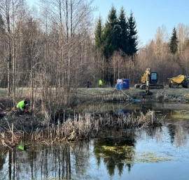 Pond cleaning