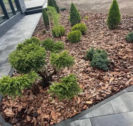 Plantings