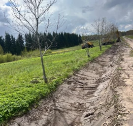 Landskaping - maintenance of yards and other territories