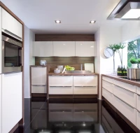 Modernaus stiliaus virtuvės baldai