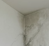 Drėgmė ir vidaus defektai name – ekspertizė Šiauliuose