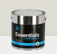 NOVEL ESSENTIALS PROFESSIONAL 4 A base 2.4L _Matiniai sienų ir lubų dažai